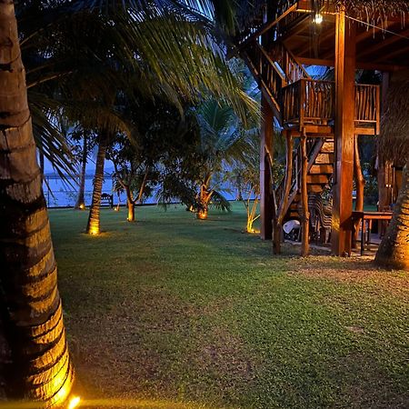 Yala Elephant Cottage تيساماهاراما المظهر الخارجي الصورة